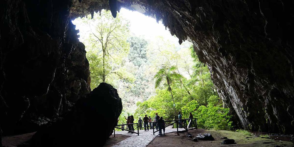 Place Parque Nacional El Guácharo