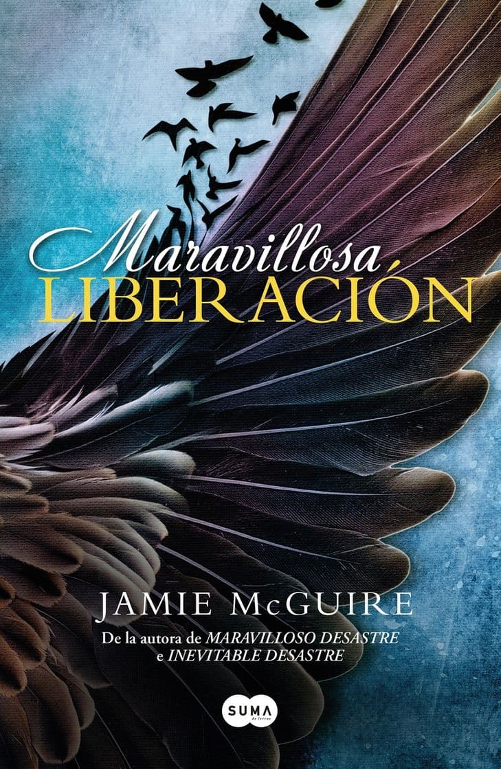 Book Maravillosa redención