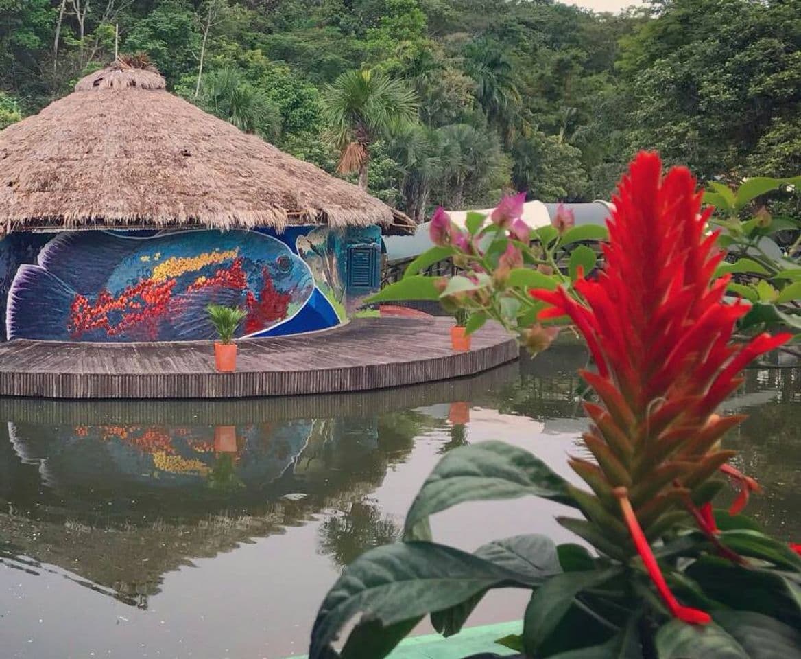 Lugar Bioparque Los Ocarros