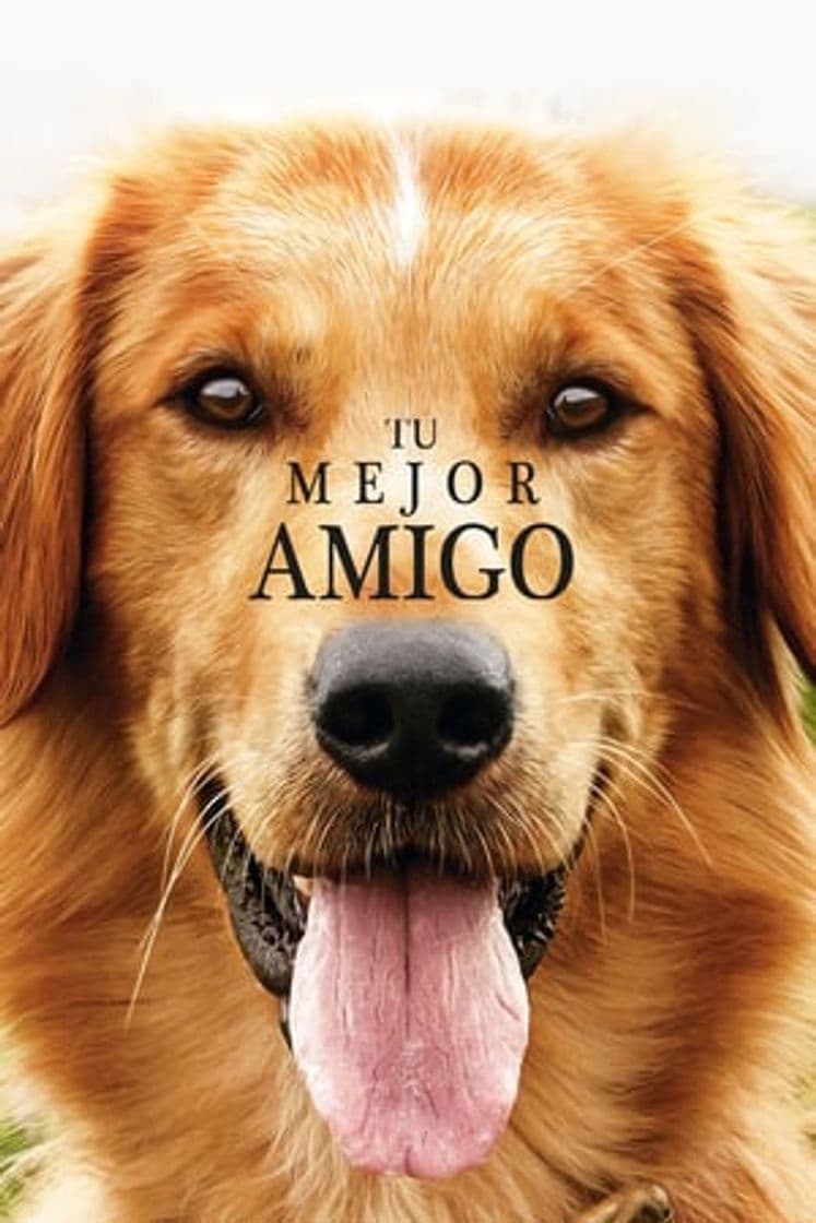 Película A Dog's Purpose