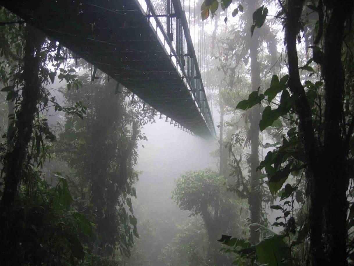 Lugar Sierra Mazateca