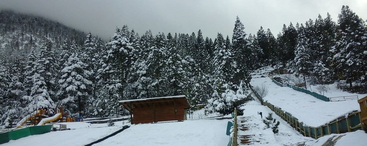 Lugar Bosques de Monterreal