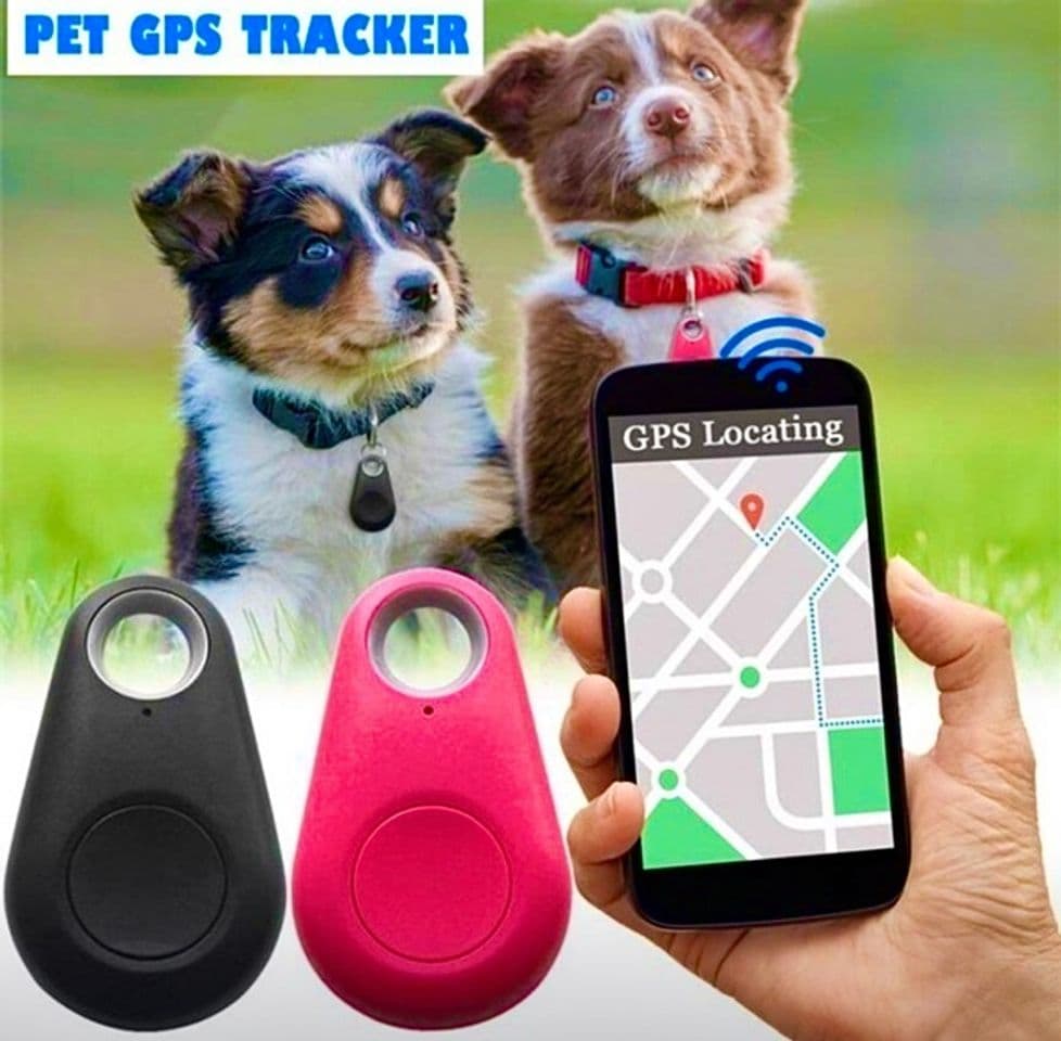 Product Tractive Localizador GPS para perros