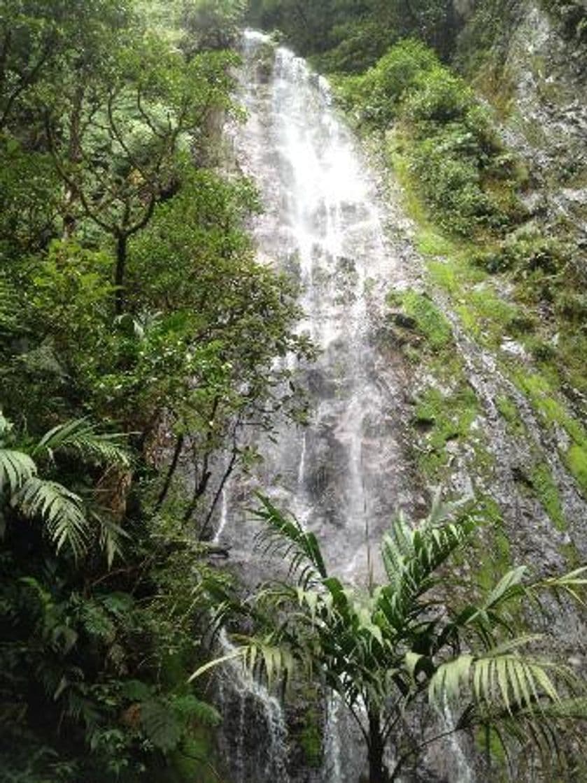 Lugar Parque Nacional La Tigra