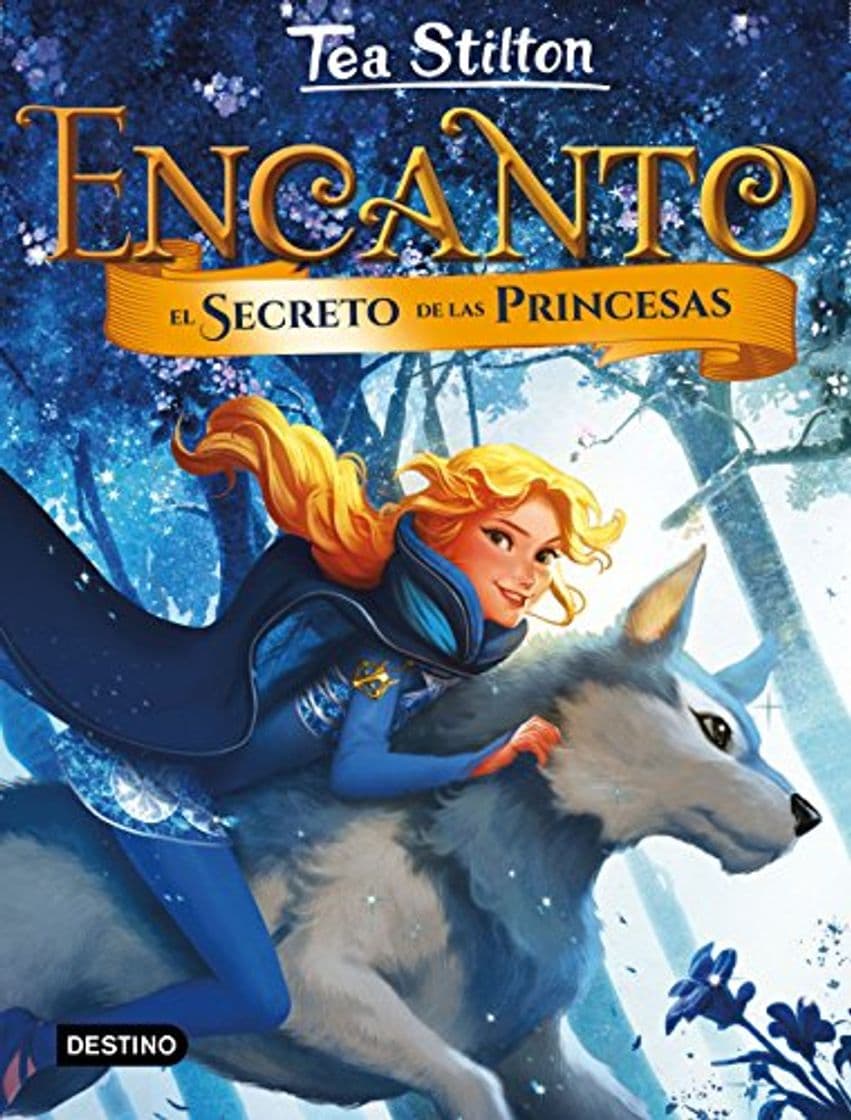 Book Encanto. El secreto de las princesas