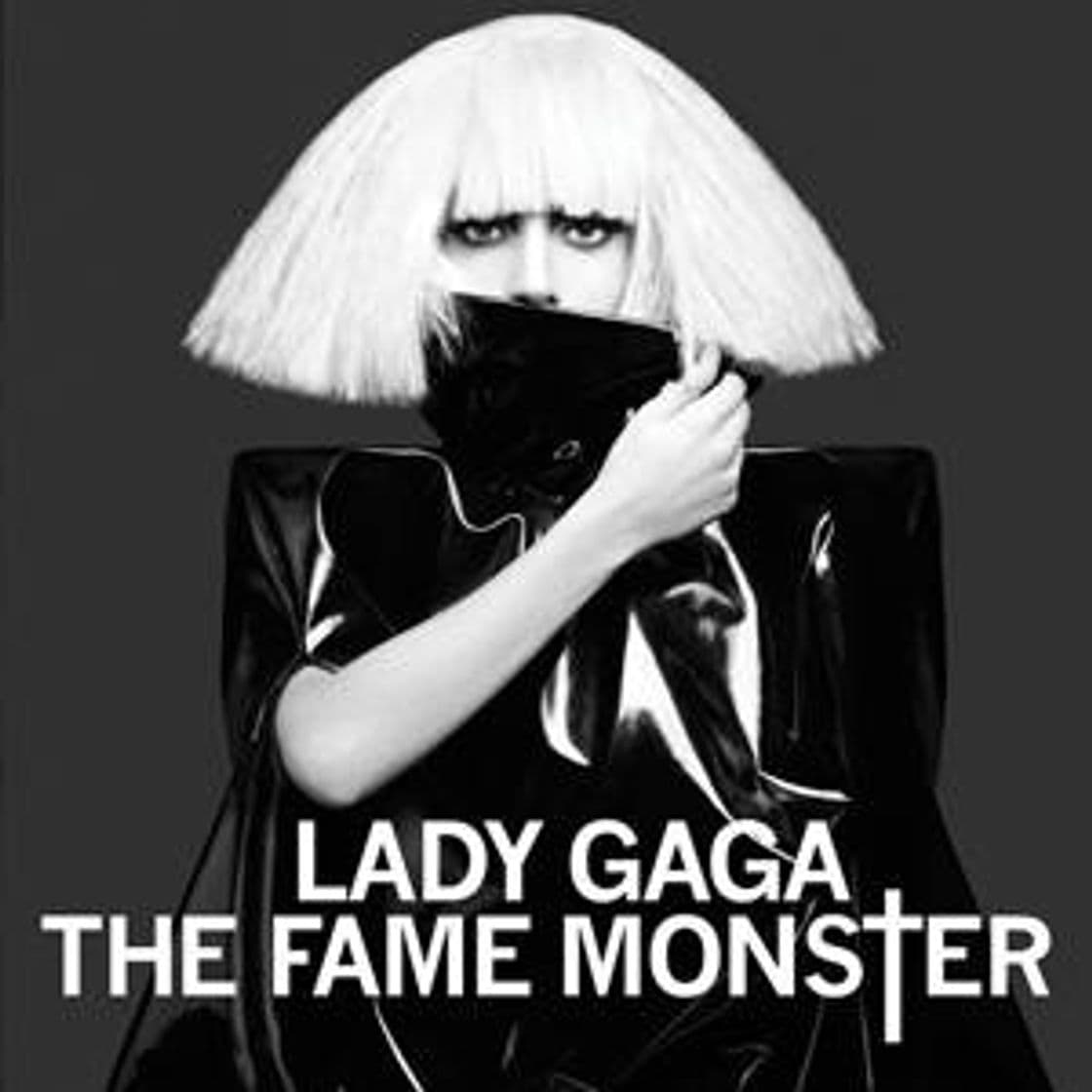 Fashion The Fame Monster