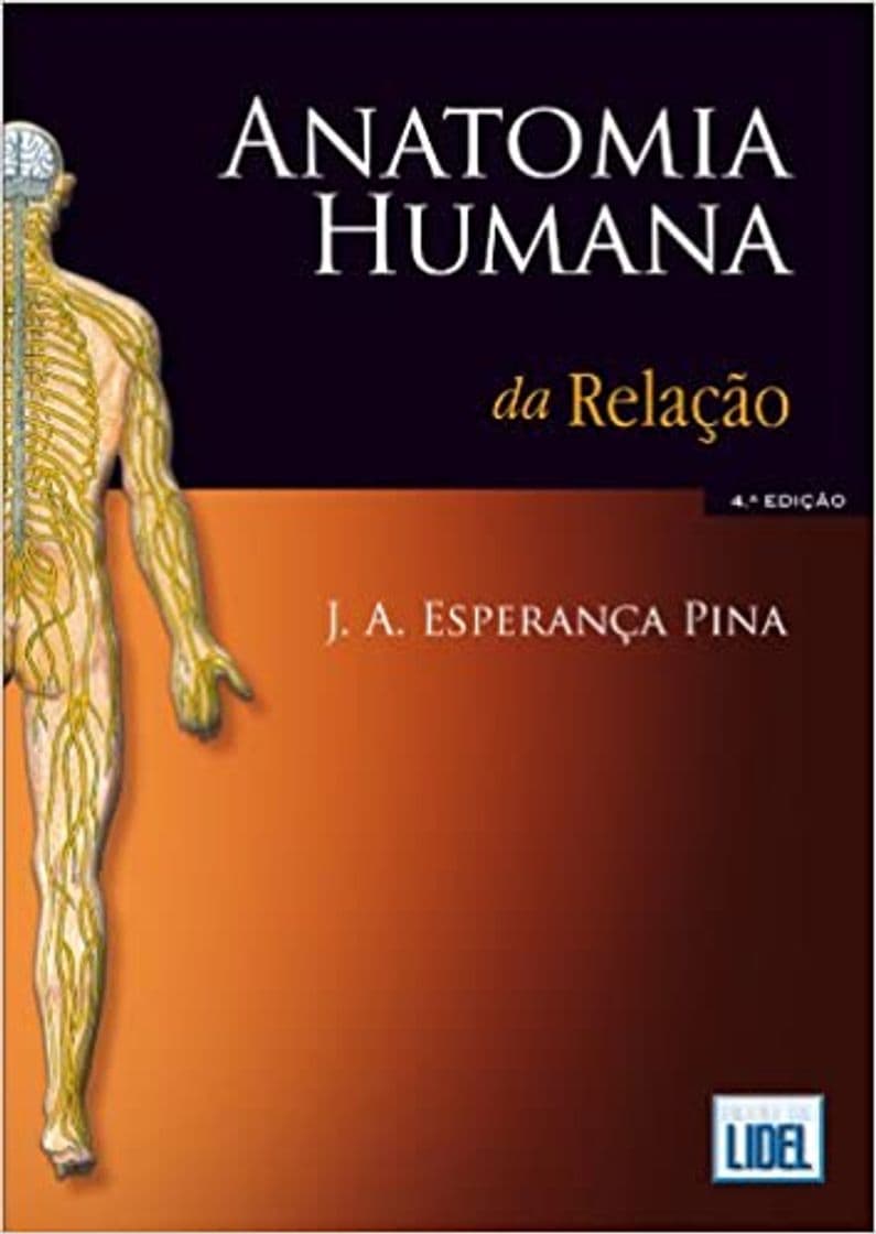 Fashion Anatomia Humana da Relação - J. A. Esperança Pina