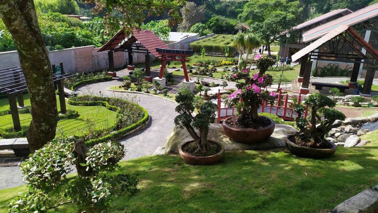 Place BIORI Jardín Botánico de Orizaba