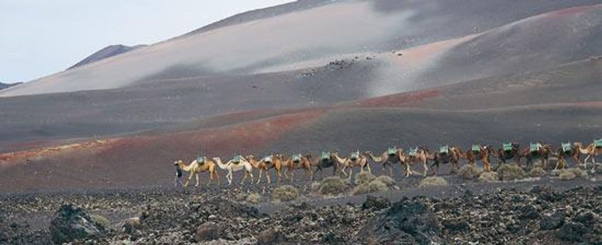 Lugar Parque Nacional de Timanfaya