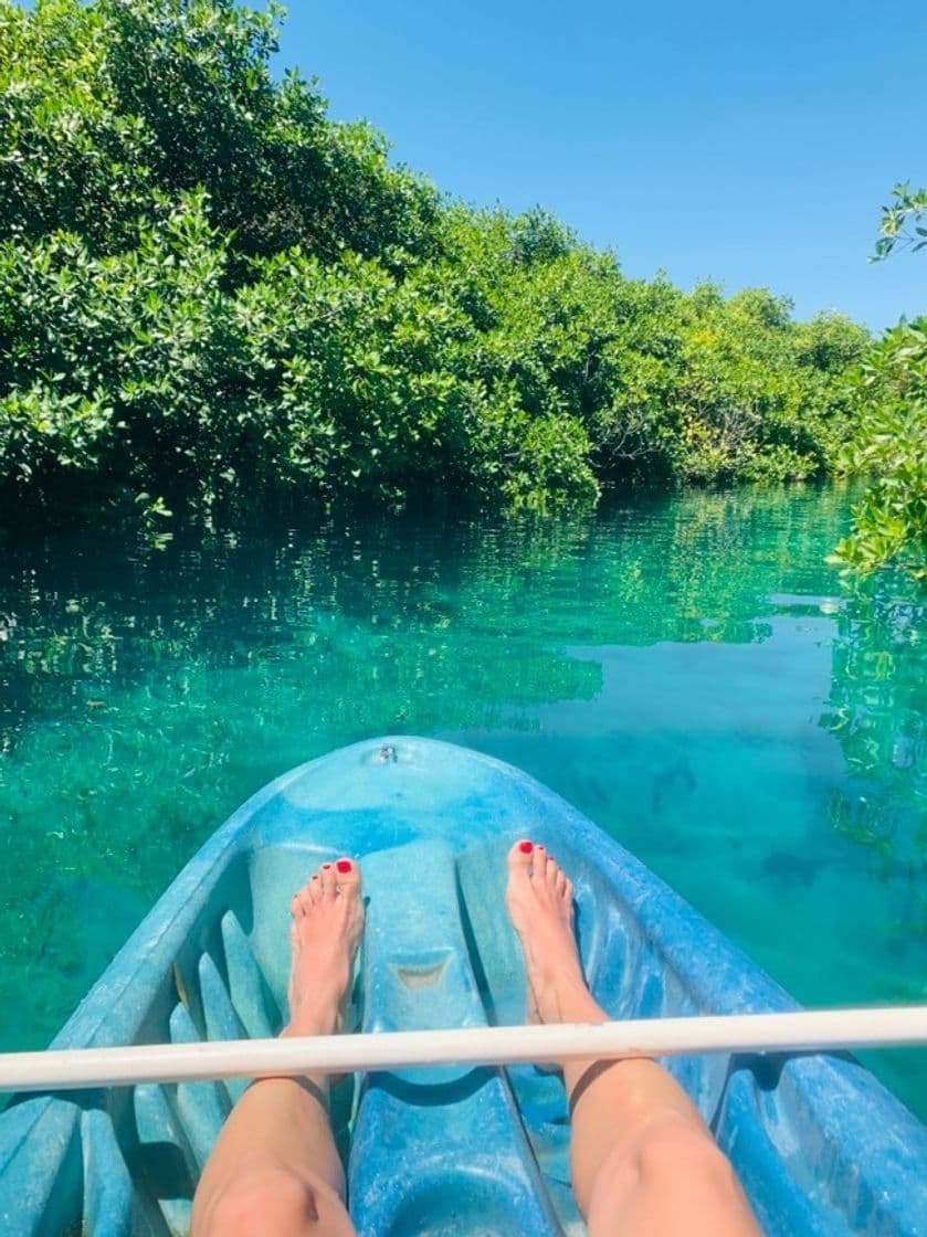 Restaurantes Cenote Manatí