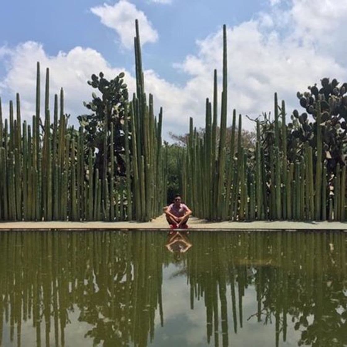 Lugar Jardín Etnobotánico de Oaxaca