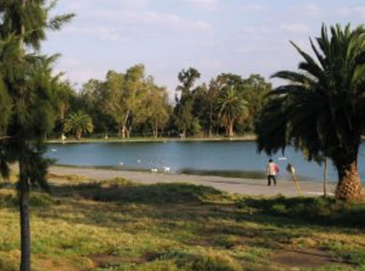 Lugar Bosque de San Juan de Aragón