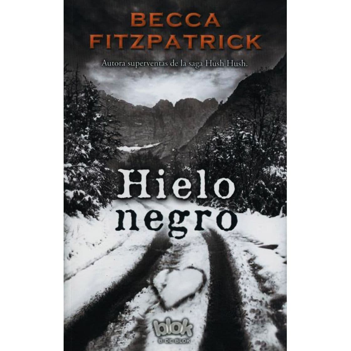 Libro Hielo negro