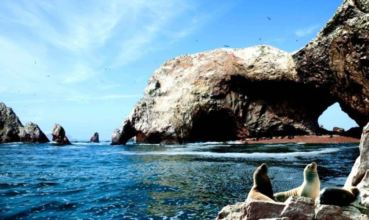 Restaurantes Bahía de Paracas