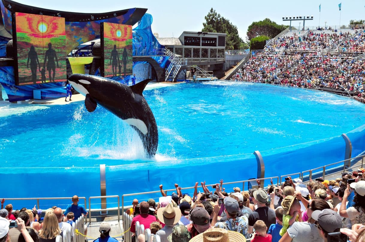 Place SeaWorld San Diego