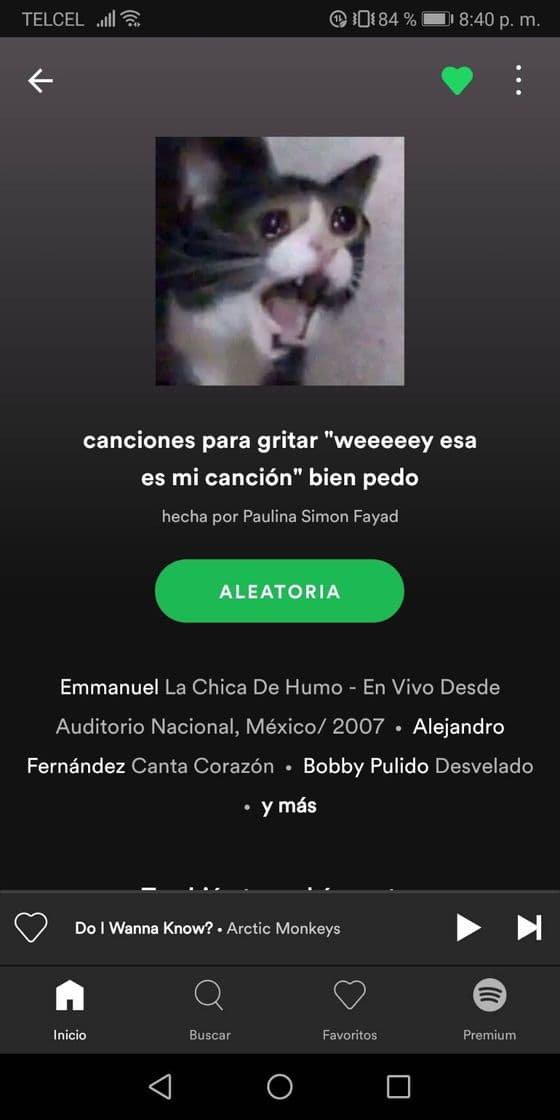 Music Canciones para gritar "weeeey esa es mi canción" bien pedo 