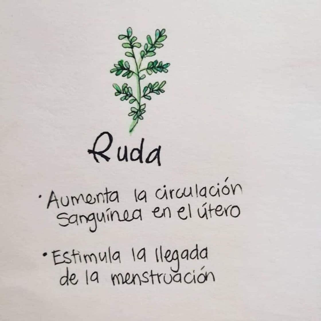 Moda Ruda