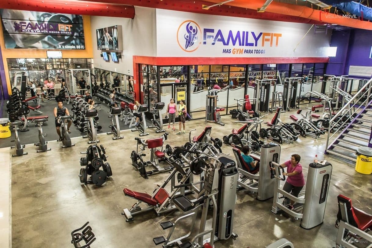 Place Ray Wilson Family Fitness Joya