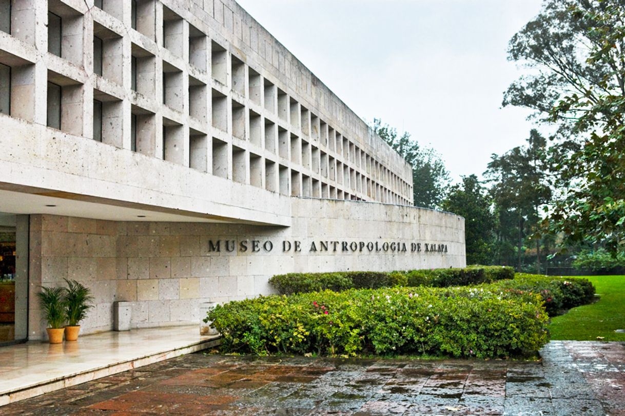 Lugar Museo de Antropología de Xalapa