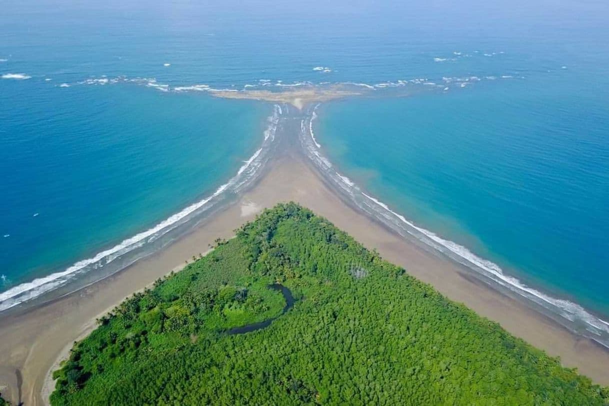 Lugar Parque Nacional Marino Ballena