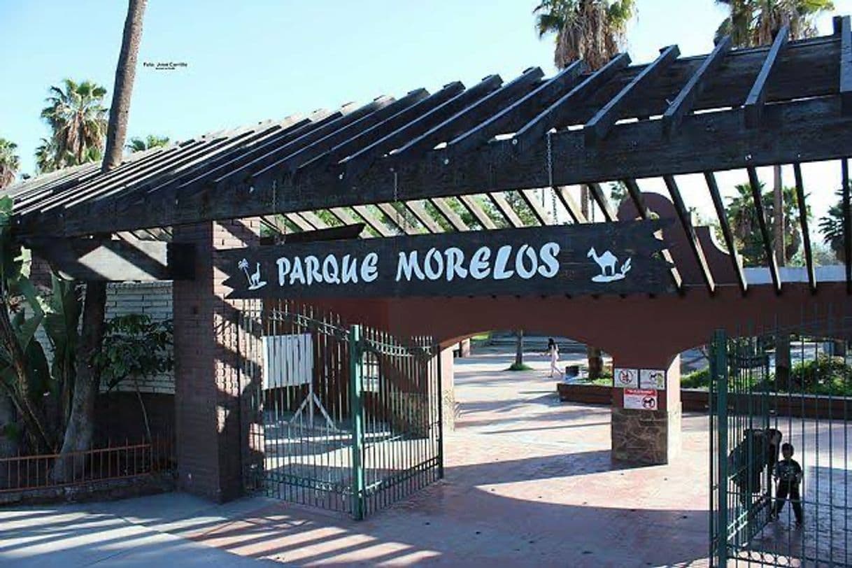 Place Parque Morelos