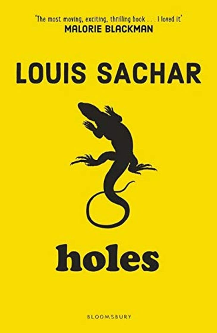 Book Holes