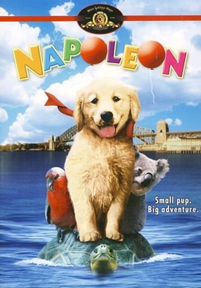 Película Napoleon