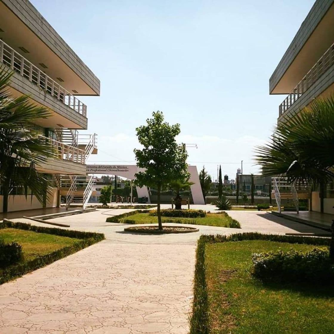 Lugar UAEM: Campus Chimalhuacan