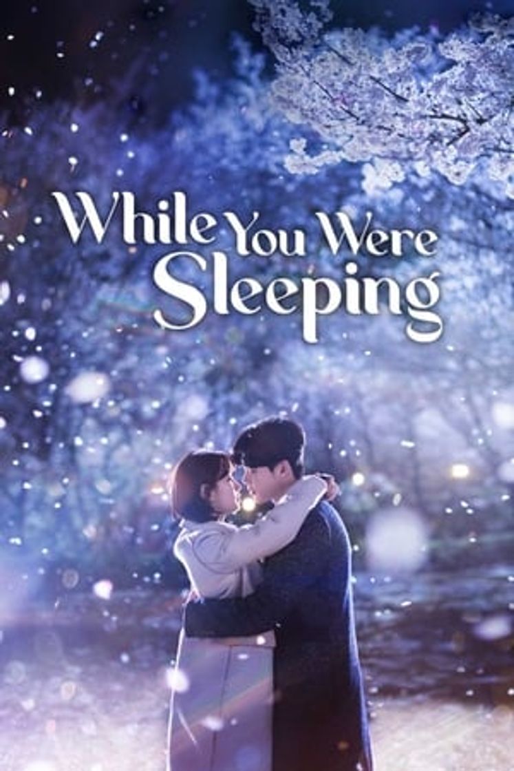 Serie While You Were Sleeping