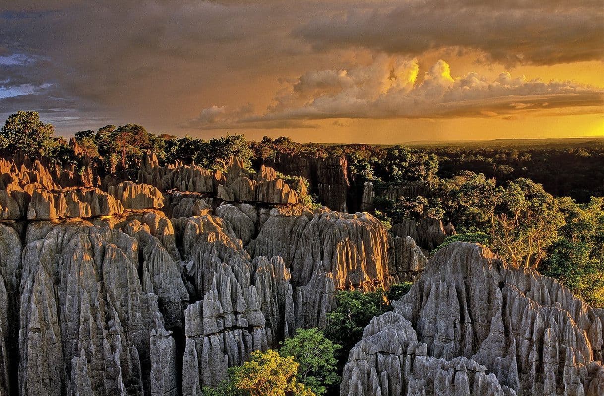 Lugar Bemaraha National Park