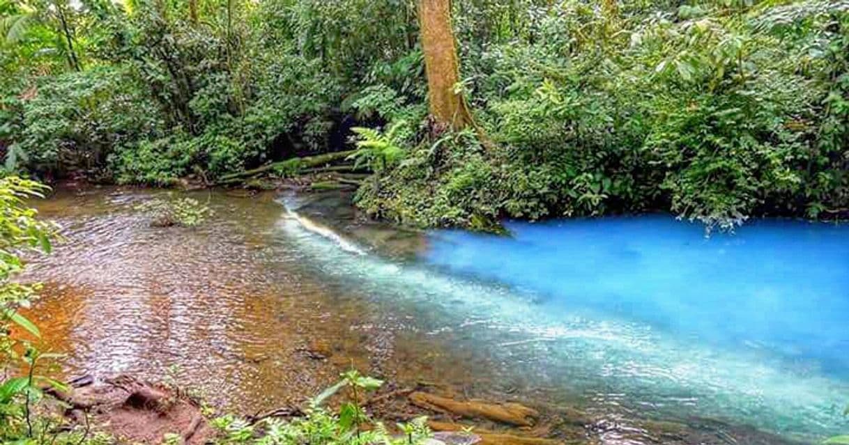 Lugar Rio Celeste y Los Teñideros