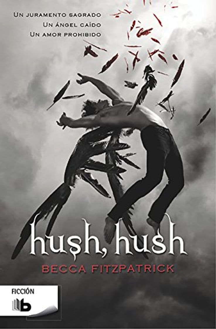 Libro Hush, Hush