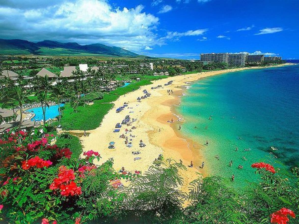 Place Hawaii