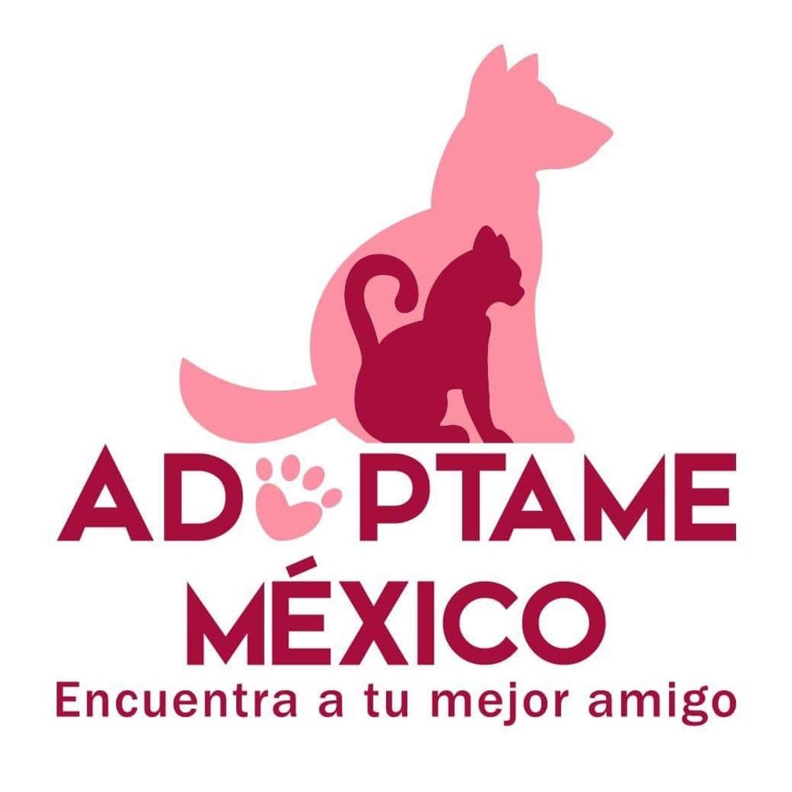 Fashion Adóptame México | Perros y Gatos en Adopcion | México | Pet ...