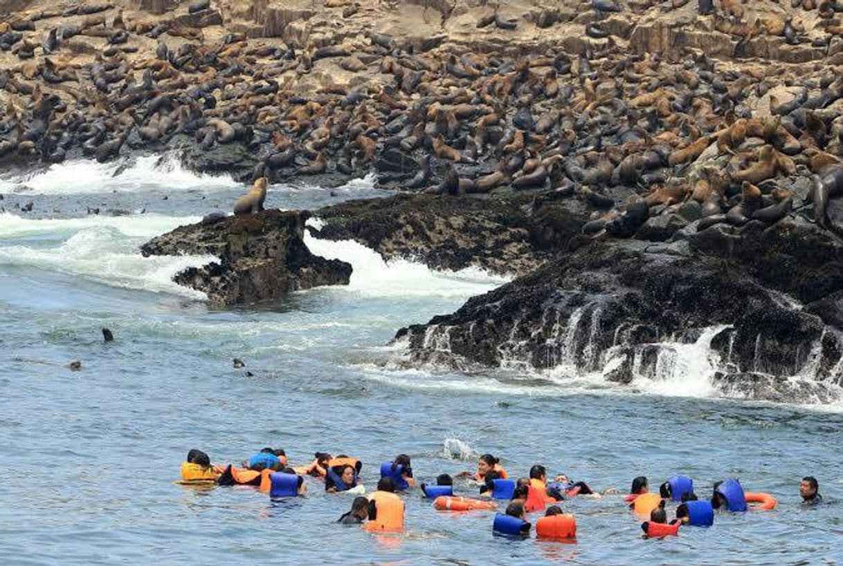 Place ECOTURISMO ISLAS DEL CALLAO S.A.C.