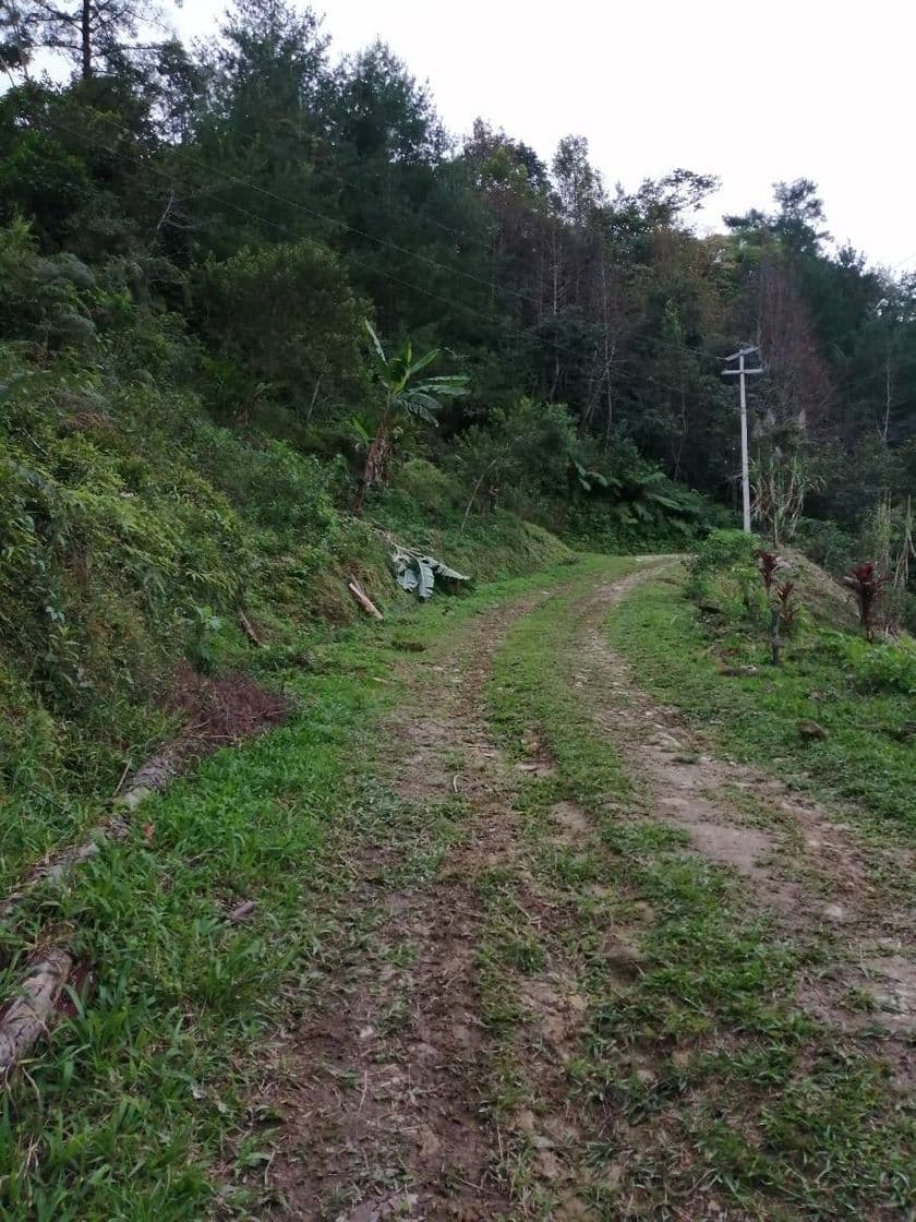 Moda Un lugar inigualable lleno de vegetación, Oaxaca.