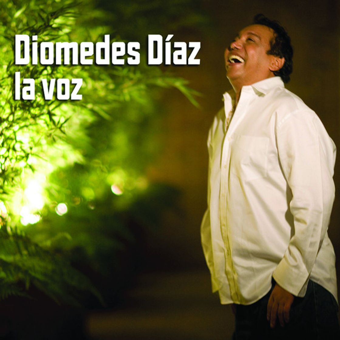 Canción Las Vainas de Diomedes