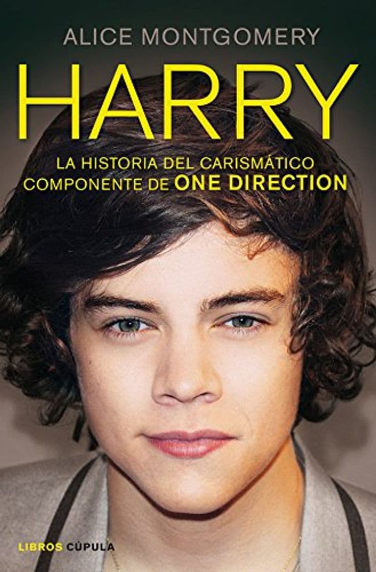 Book Harry: La historia del carismático componente de ONE DIRECTION