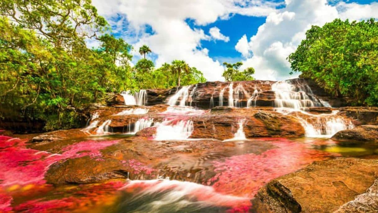 Lugar Caño Cristales