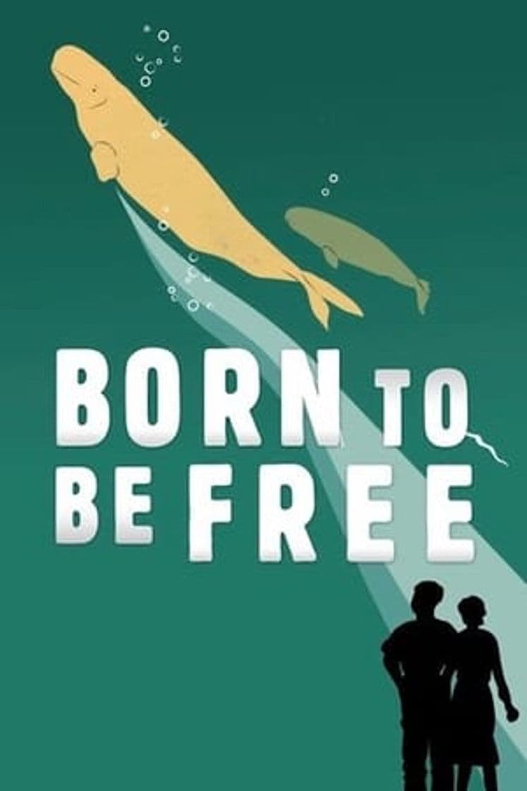 Película Born to Be Free