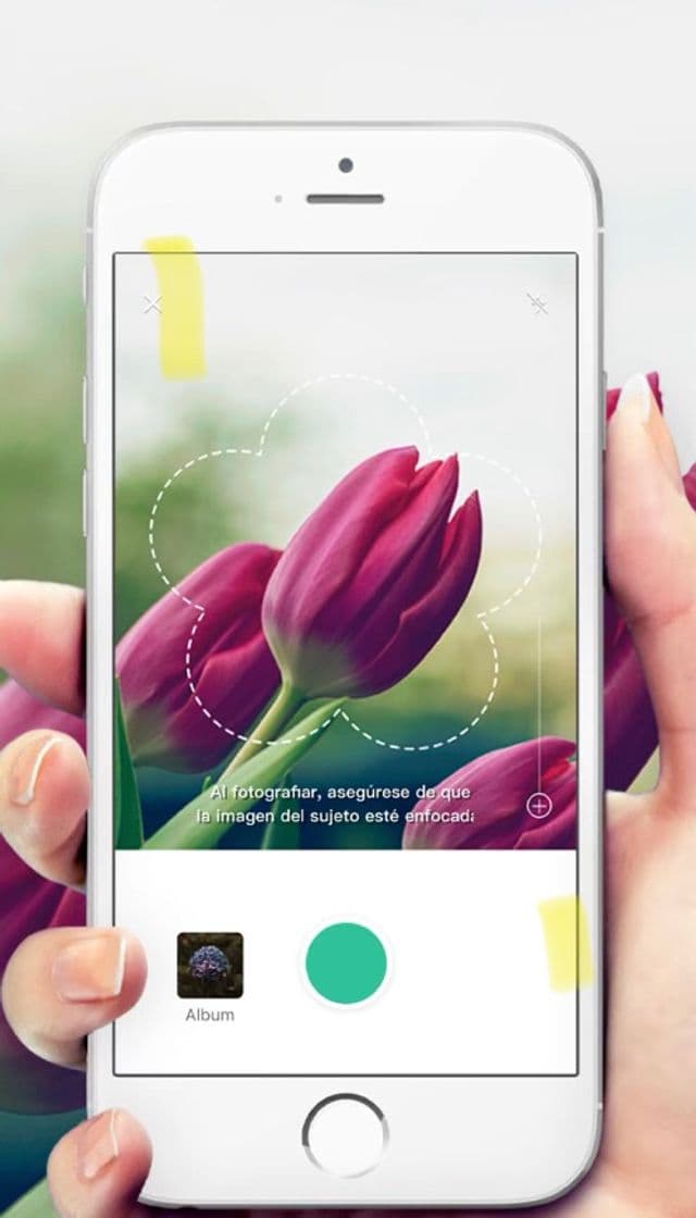 App ‎PictureThis - Plant Identifier on the App Store