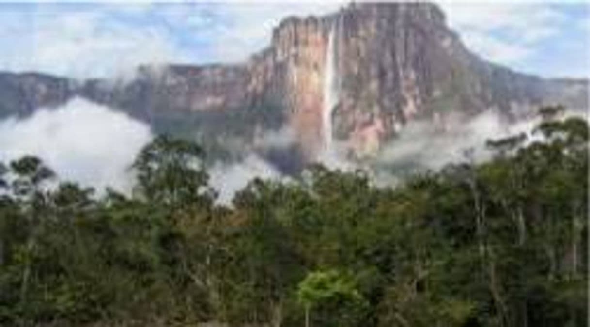 Place Parque Nacional Canaima