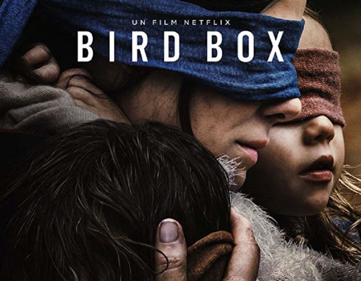 Movie Bird box: A ciegas