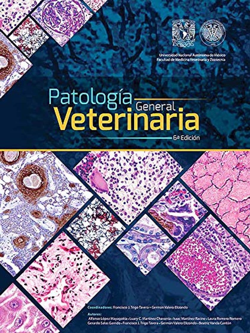 Libro Patología general veterinaria