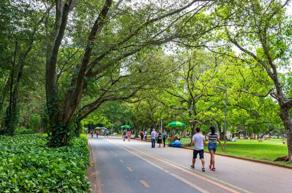 Place Parque Ibirapuera