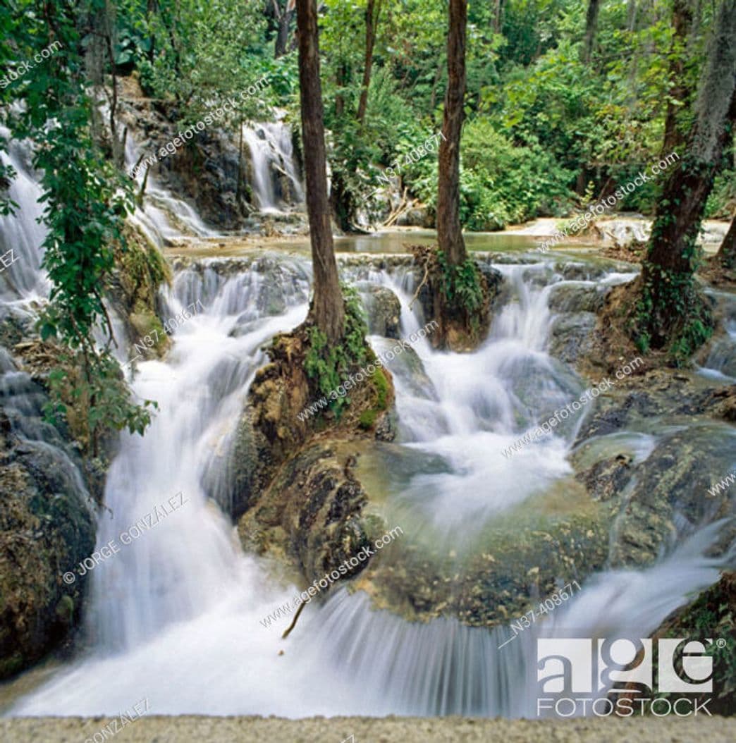 Place El Salto