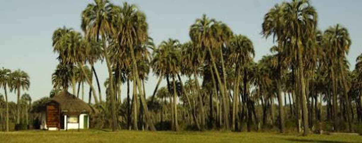 Lugar Parque Nacional El Palmar