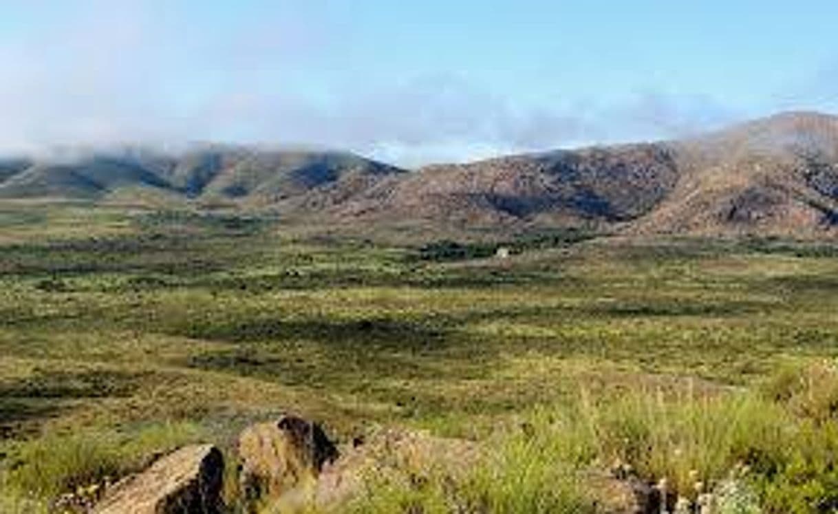 Lugar Parque Nacional Lihué Calel