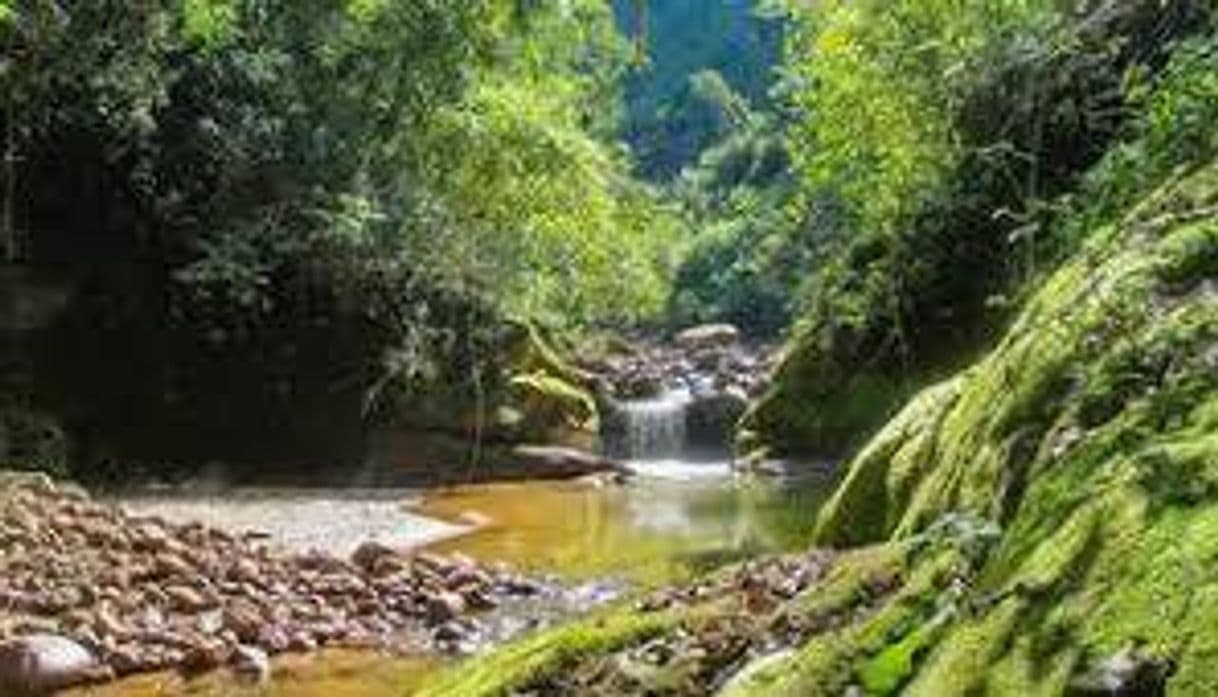 Lugar Parque Nacional Calilegua (Intendencia)