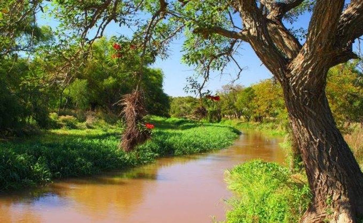 Lugar Parque Nacional Pre-Delta